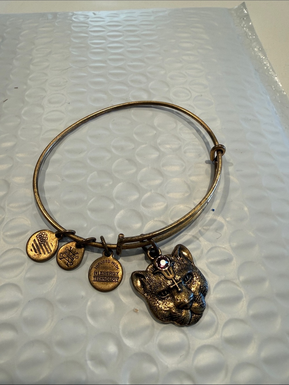 Alex and Ani Bronze Cat Head Charm Adjustable Bangle with Pink Crystal Accent
